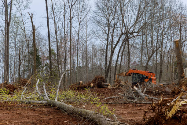 Best Hazardous Tree Removal  in Unadilla, GA